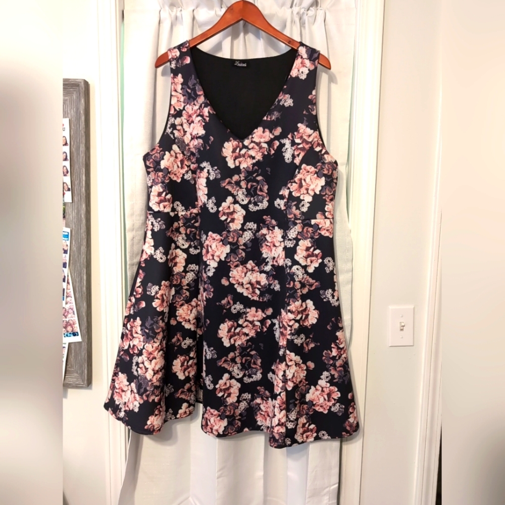 Limited Collection Black Sleeveless & V-Neck Dress With Pink Floral Design 22